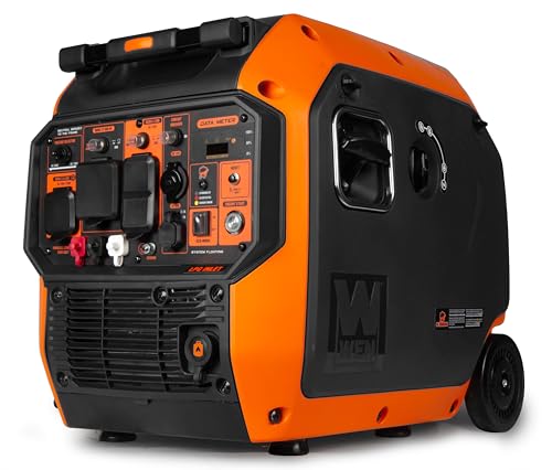 WEN 6800W Dual Fuel Generator
